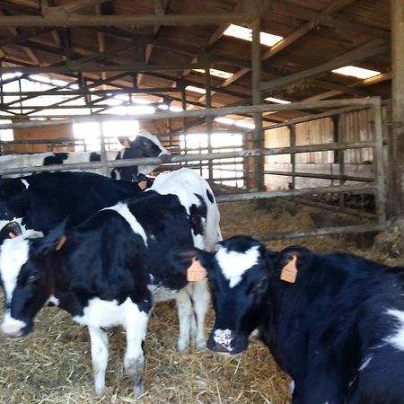 Charmante Maison A La Ferme Valderies 외부 사진