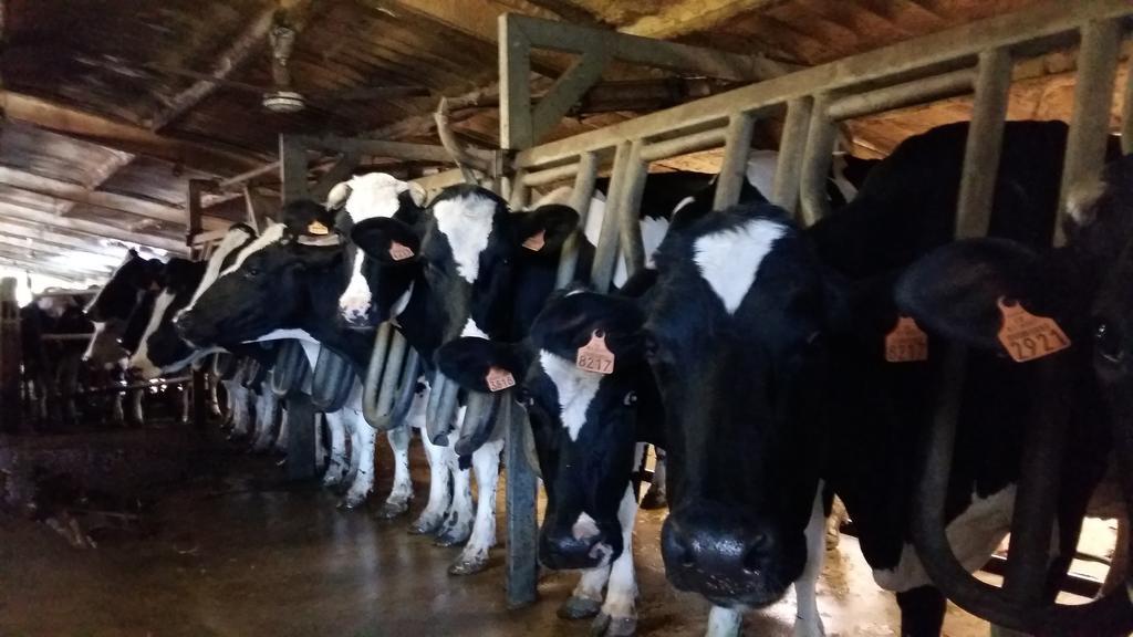 Charmante Maison A La Ferme Valderies 외부 사진