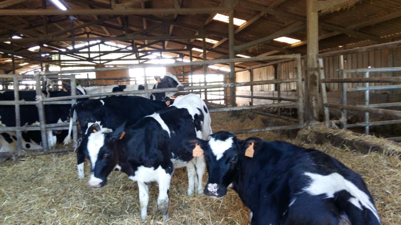 Charmante Maison A La Ferme Valderies 외부 사진