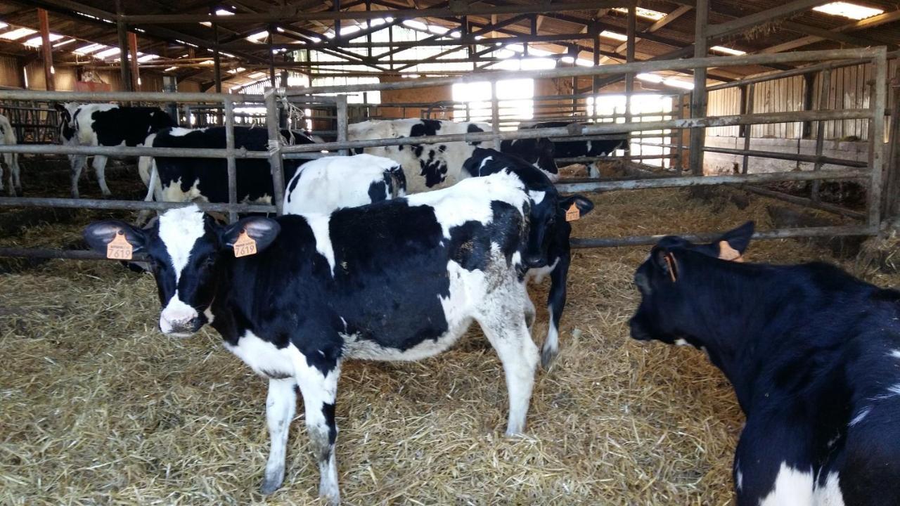 Charmante Maison A La Ferme Valderies 외부 사진